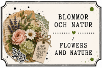 BLOMMOR OCH NATUR