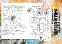 #266 Daisy elegance clear stamp set - Stämpelset med blommor och textur från AALL & Create A4