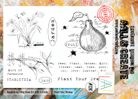 FÖRBESTÄLLNING #320 Plant your dreams clear stamp set - Stämpelset med växter och texter från Aall & Create A4