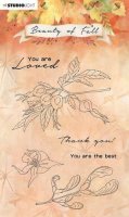 Beauty of Fall nr.64 clear stamp set - Stämpelset med hösttema från Studio Light A6