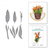 Bird of Paradise Etched Die set - Blomma och blad-stansmallar från Susan Tierney-Cockburn Spellbinders