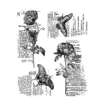 BOTANIC COLLAGE cling rubber stamp set - Stämpelset med blommor och textur från Tim Holtz Stamper's Anonymous