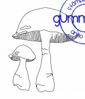 Bay boletus mushroom stamp - Brunsopp-stämpel från Gummiapan 6,4*8,1 + 2,6*4,4 cm