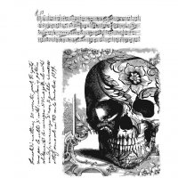 FÖRBESTÄLLNING Gothic tapestry skull cling rubber stamp set - Stämpelset med döskalle, text och noter från Tim Holtz Stamper's A