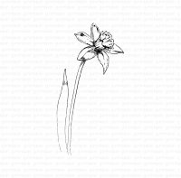 Påsklilja (Daffodil flower) rubber stamp from Gummiapan 3,9x7,7 cm