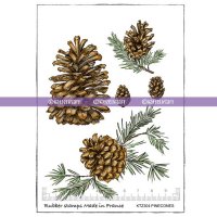 PINECONES rubber stamp set from KatzelKraft A6