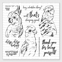 Pretty birds stamp - Stämpelset med fåglar - undulater och texter från Picket fence studios