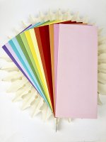 Slimline Envelopes 4.125 x 9.5 Inch Rainbow from Picket fence studios