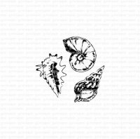 Seashells rubber stamp from Gummiapan