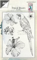 Tropical flowers and parrot stamp set - Stämplar med tropiska blommor och en papegoja från Joy! Crafts