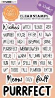 WICKED WITHCES English Halloween text clear stamp set - Stämpelset med engelska texter om häxor från Studio Light A6