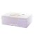 CLEAR STORAGE BOX with 16 cases - Förvaring i förvaring från Vaessen Creative ca 37x30x13 cm