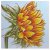 Face The Sun sunflower Clear Stamp set (F-133) - Stämpelset med solros från Picket Fence studios 15x15 cm