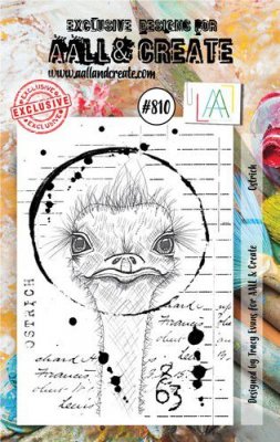 #810 OSTRICH bird texture clear stamp from Tracy Evans AALL & Create A7
