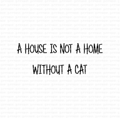 A house is not a home without a cat - Engelsk textstämpel om katter från Gummiapan 3,1*1,1 cm