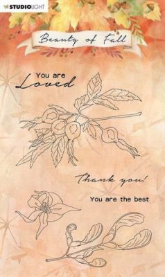Beauty of Fall nr.64 clear stamp set - Stämpelset med hösttema från Studio Light A6