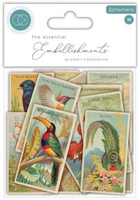 BIRDS THE COLLECTOR EPHEMERA CARD KIT - Fågelkort från Craft Consortium