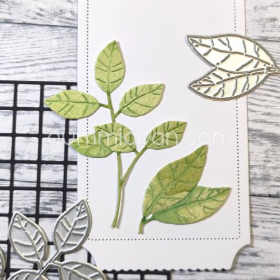 BLADVERK leaf die set from Gummiapan ca 54,5x70,5 mm, 30,5x39 mm