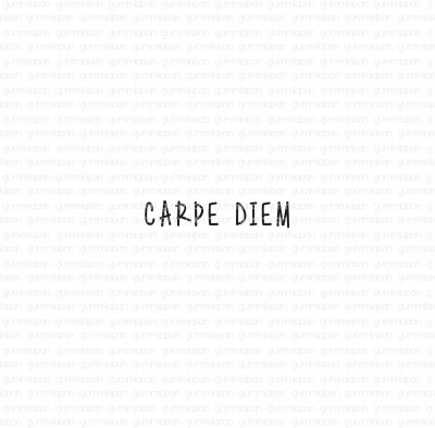 Carpe diem 203 rubber stamp from Gummiapan ca 2,5 mm tall