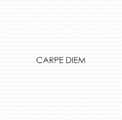Carpe diem textstämpel med ren font från Gummiapan ca 3 mm höga