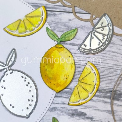 CITRONstansmallar från Gummiapan ca 24,3 x 43,3 mm & 30,8 x 13,8 mm