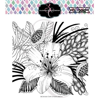 PRE-ORDER - Daylily & Barberry-Big & Bold clear stamp from Colorado Craft Company 15*15 cm