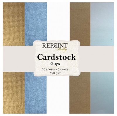 GUYS BOYS CARDSTOCK 12X12 - Enfärgade papper från Reprint 30x30 cm