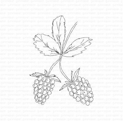 Hallon-stämpel från Gummiapan 3,9x5,4 cm