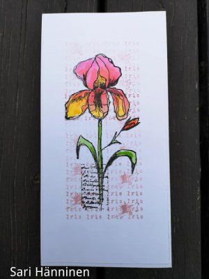 #333 Iris flower border clear stamp set - Stämpelset med blomma från Aall & Create Tracy Evans