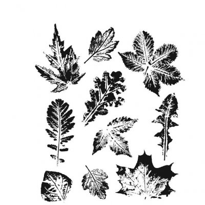 FÖRBESTÄLLNING Leaf prints 2 cling stamp set - Stämpelset med löv och blad från Tim Holtz Stamper's Anonymous