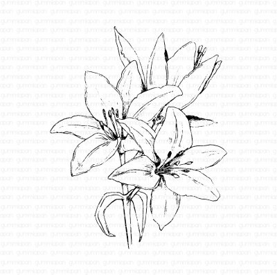 LILJA blomstämpel från Gummiapan ca 83x104 mm