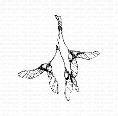 Lönn klyvfrukt näsor stämpel från Gummiapan 7,65x8 cm