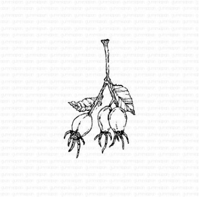Nyponstämpel från Gummiapan 3,2x5,5 cm