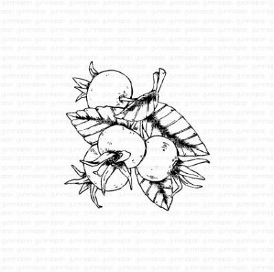 Nyponstämpel från Gummiapan 6,1x6,2 cm