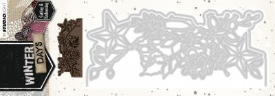 pine cone, border, studio light