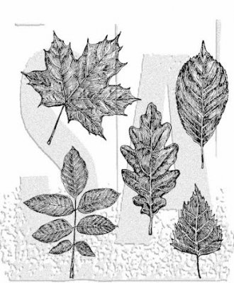SKETCHY LEAVES rubber stamp set - Stämpelset med löv från Tim Holtz Stamper's Anonymous