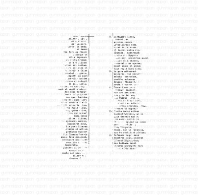 Slitna latintexter - Stämpelset från Gummiapan 6x10,8 cm