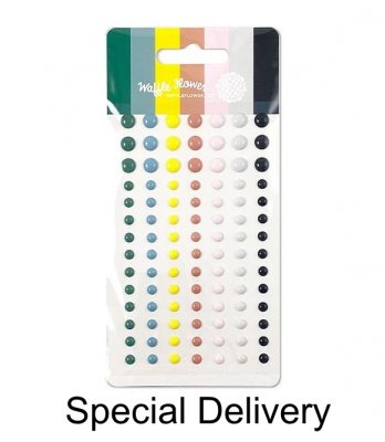 Special delivery enamel dots from Waffle Flower