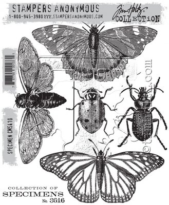 FÖRBESTÄLLNING - Specimen insect rubber stamp set - Stämpelset med insekter från Tim Holtz / Stamper's Anonymous