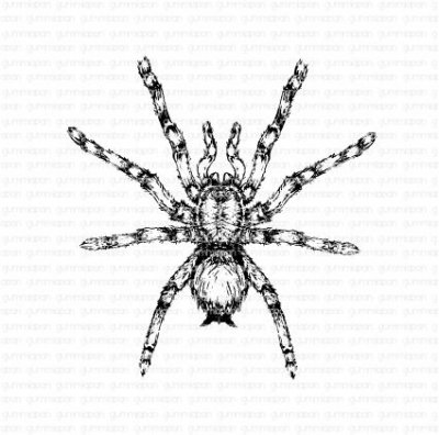 Tarantula spider rubber stamp from Gummiapan 7,4x7,7 cm