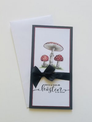 Stora texter höst clear stamp set - Stämpelset från Hänglar & Wings A7