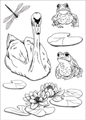 The Riverbank animal Clear Stamps - Stämpelset djur från Craft Consortium 10x15 cm