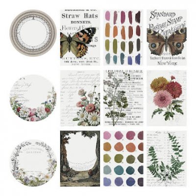 TRANSPARENT LAYERS 12 PKG from Tim Holtz Idea-ology