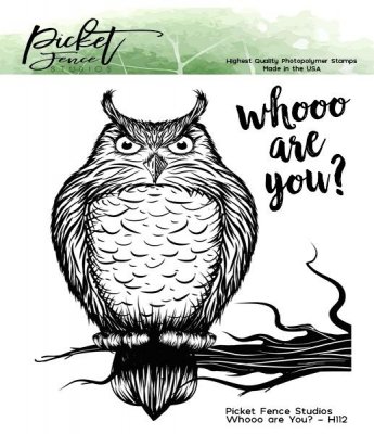Whooo are You owl 4x4 Inch Clear Stamp - Stämpelset med uggla från Picket fence studios 10x10 cm
