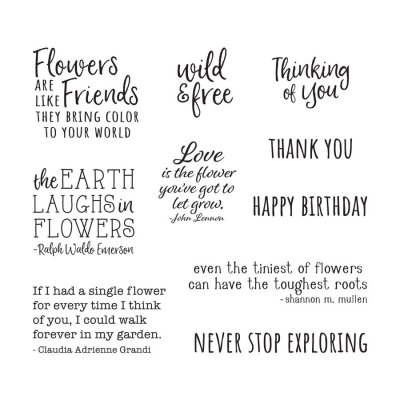 Wildflower Sentiments Clear Stamp set (STP-034) - Stämpelset med engelska uttryck från Spellbinders 10x15 cm