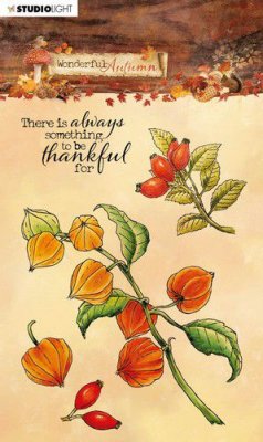 FÖRBESTÄLLNING - Wonderful Autumn nr. 481 clear stamp set with a fall theme - Stämpelset med nypon m m från Studio Light A6